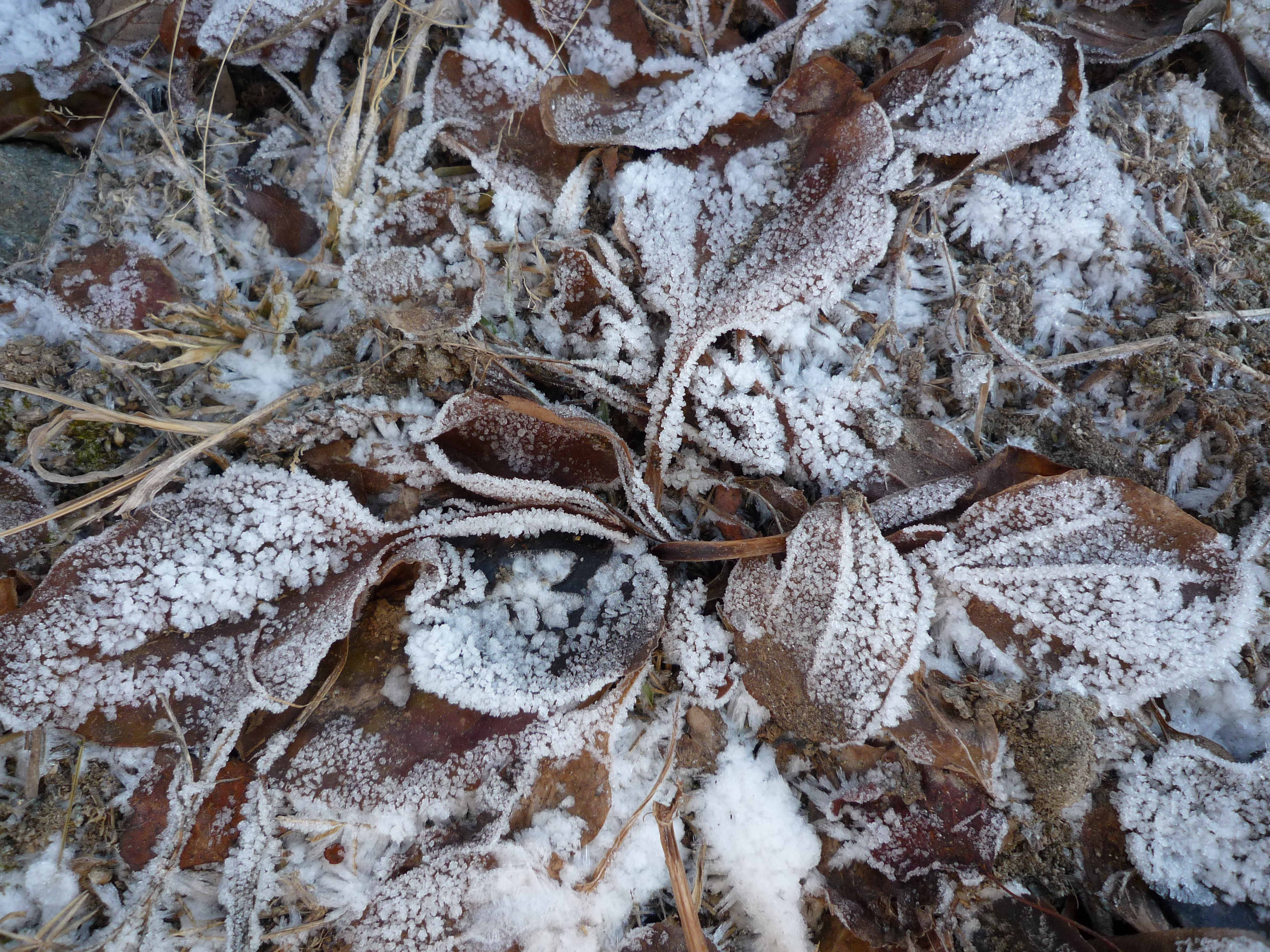 Formación de hielo