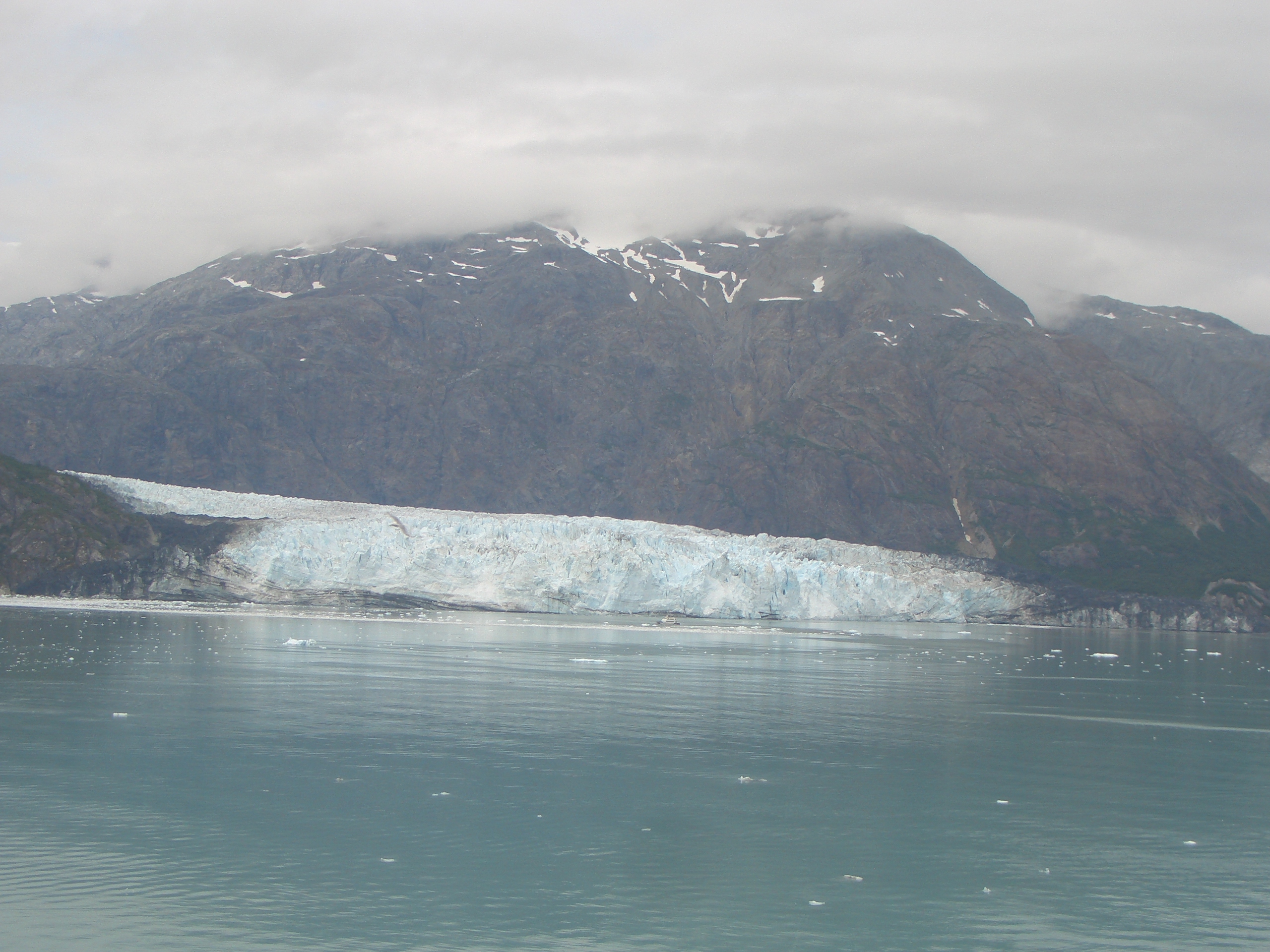 Glaciares de Alaska 6