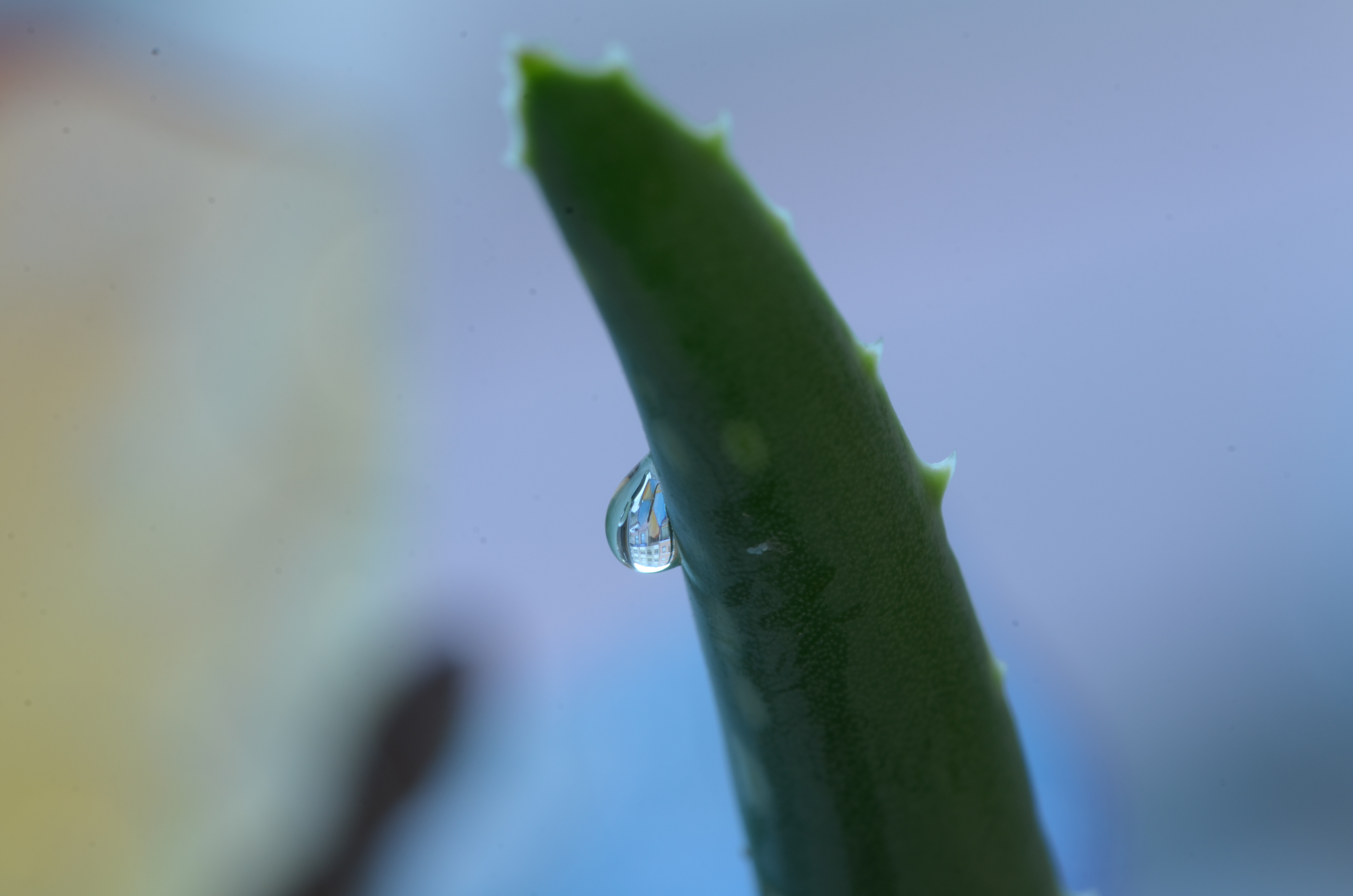 Gota transparente