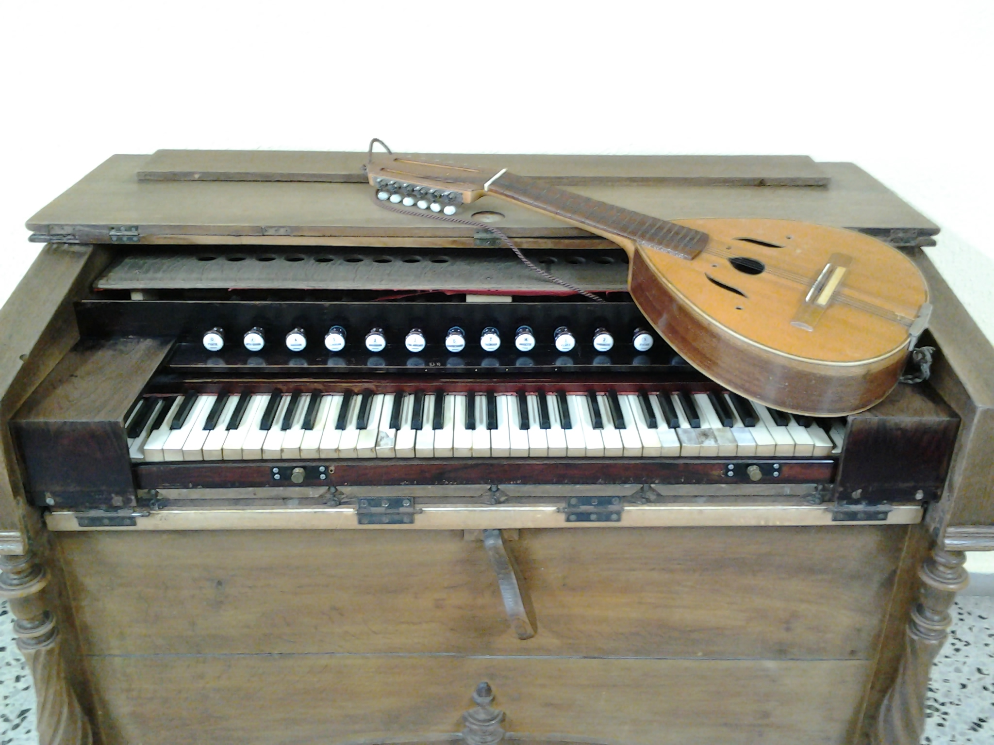 Harmonio y laúd