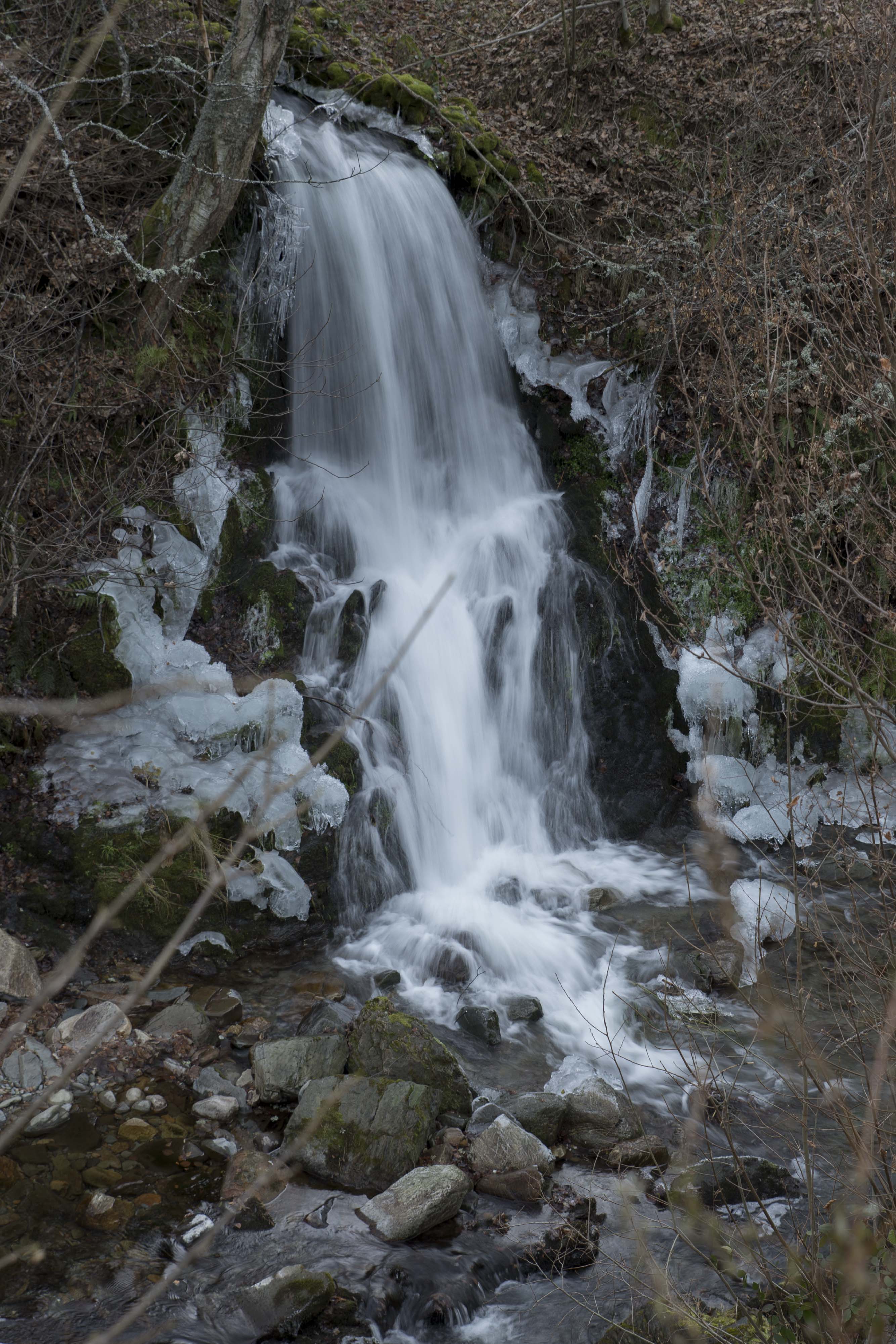 Hielo y algodón