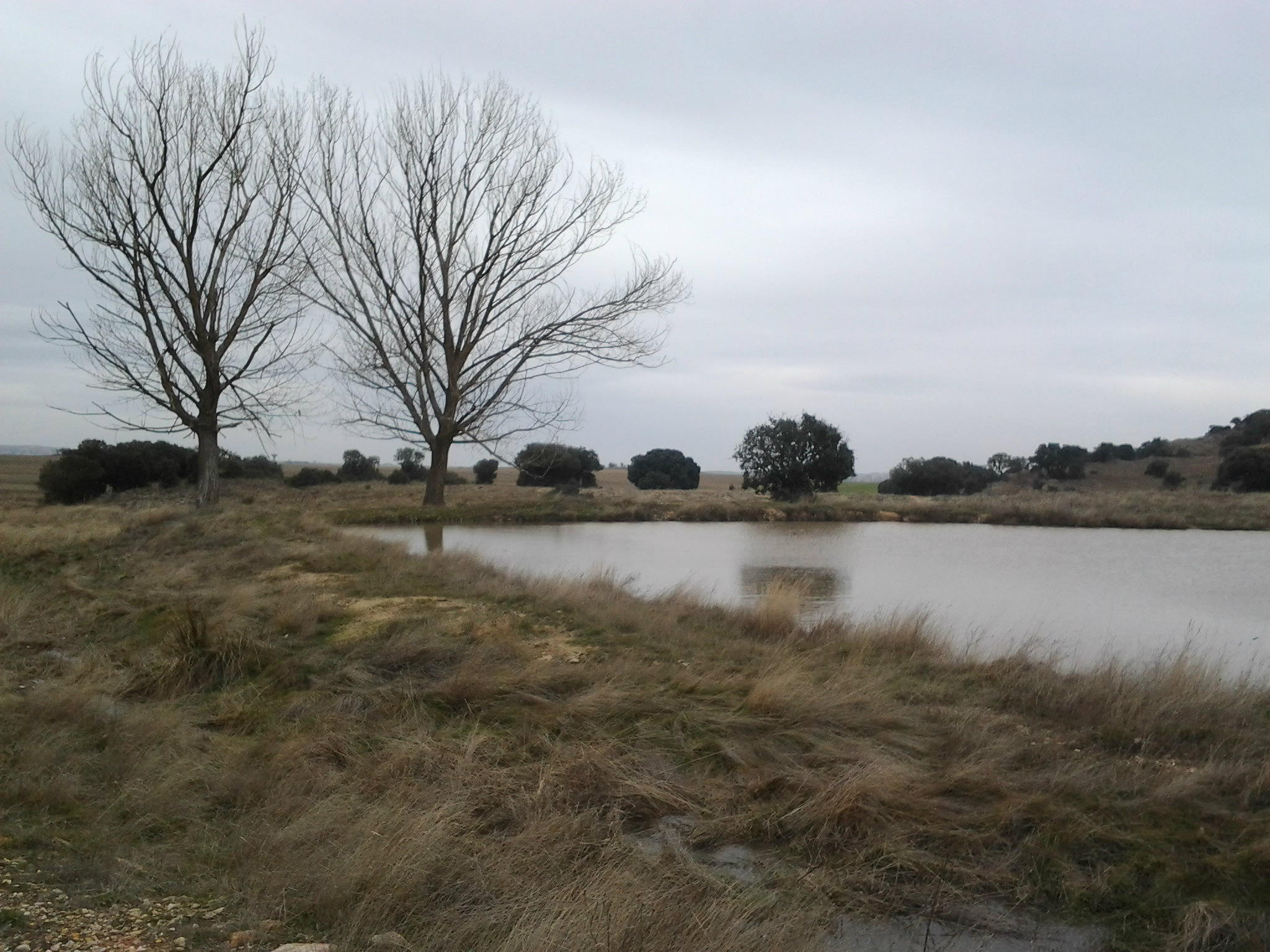 Laguna en el campo de Salamanca