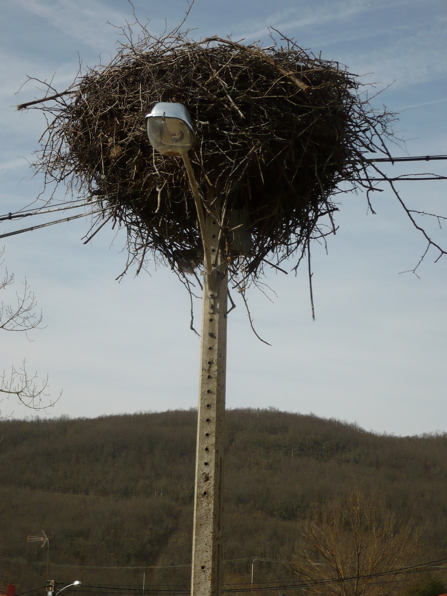 Naturaleza y modernidad