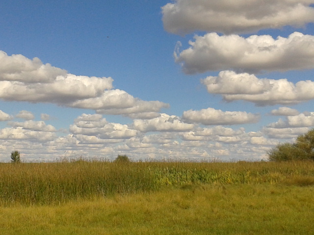 Nubes