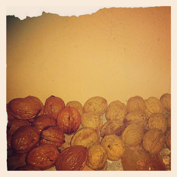 Nueces