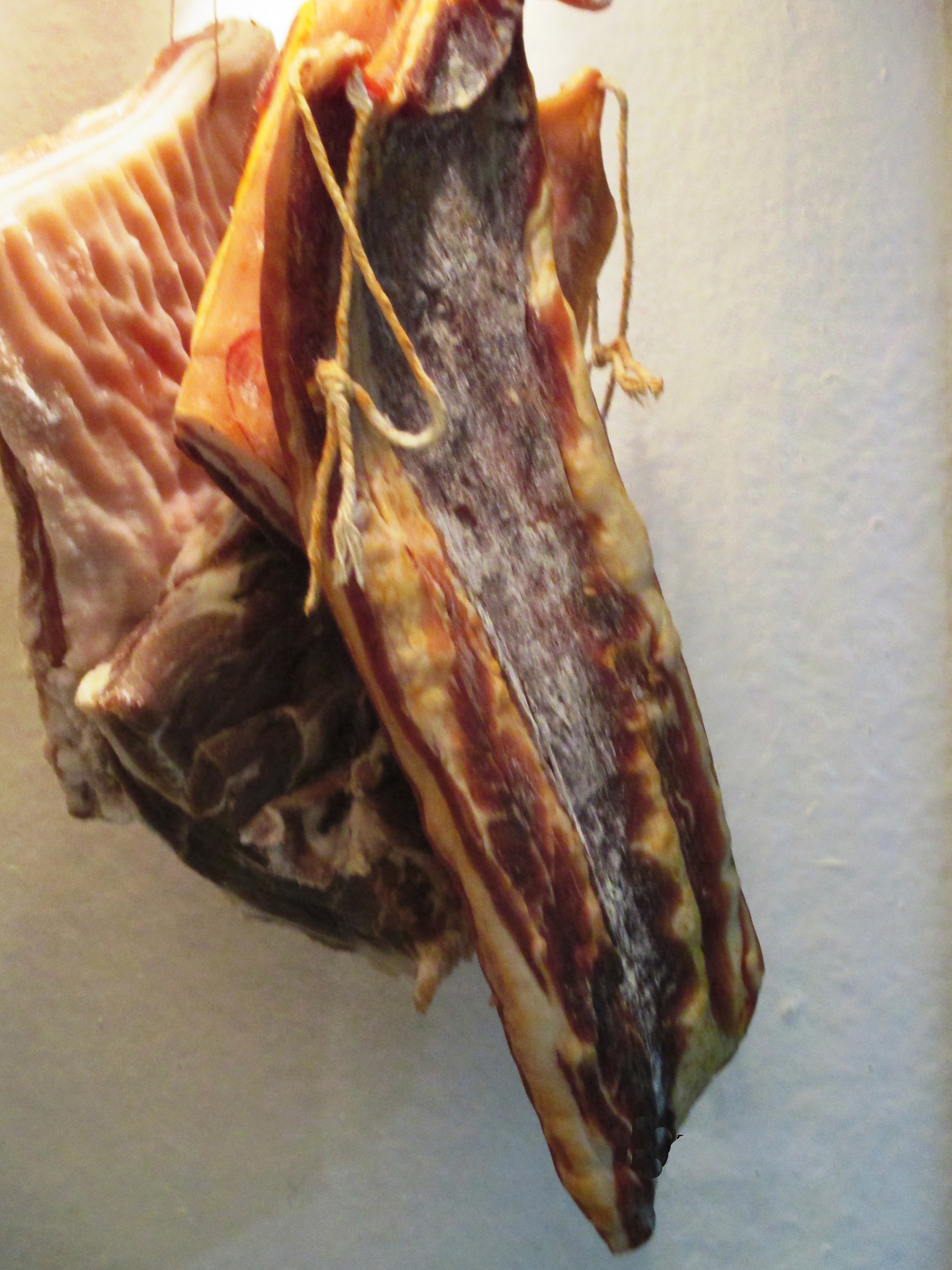 Panceta