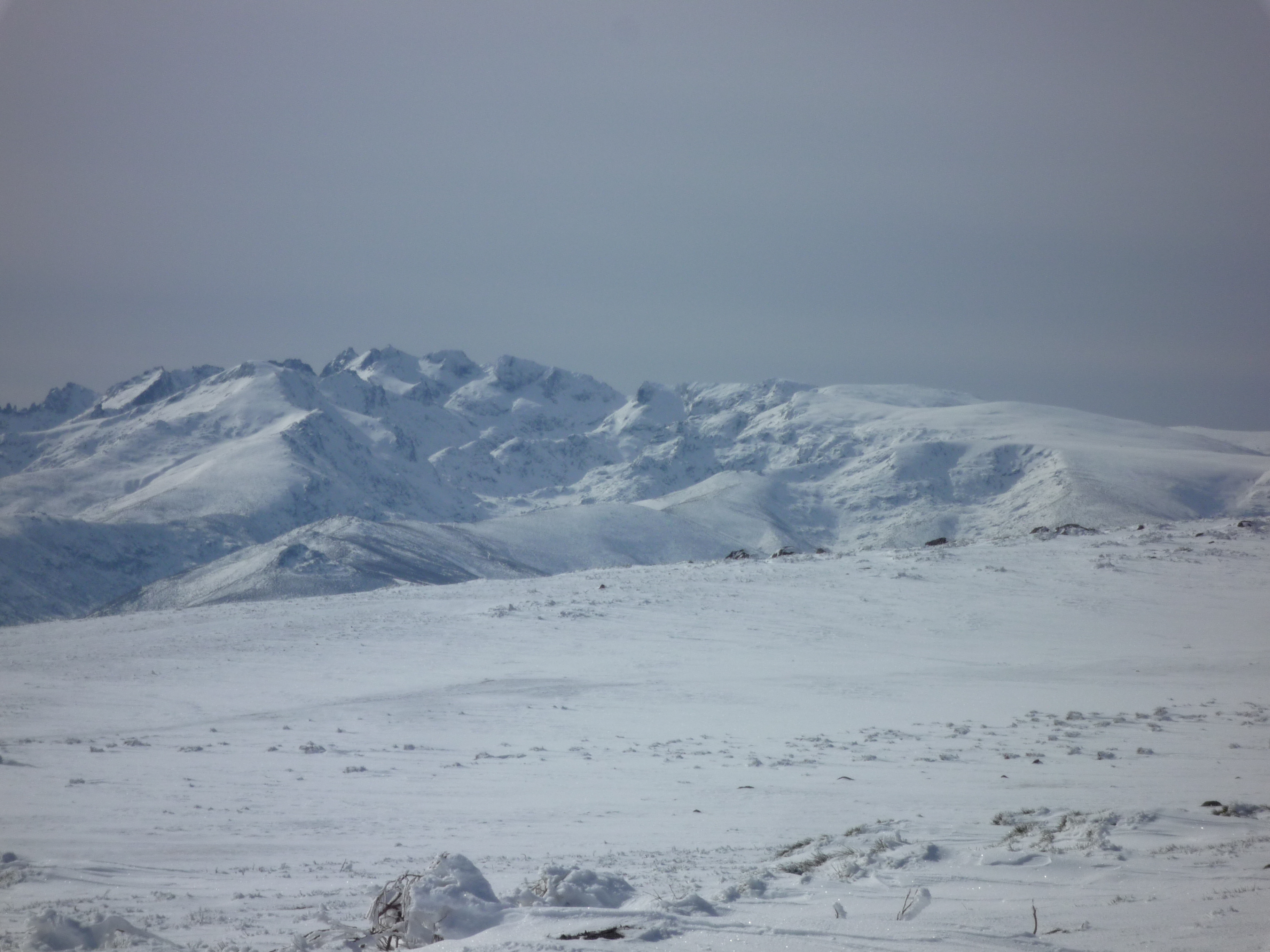 Picos Gredos nevados