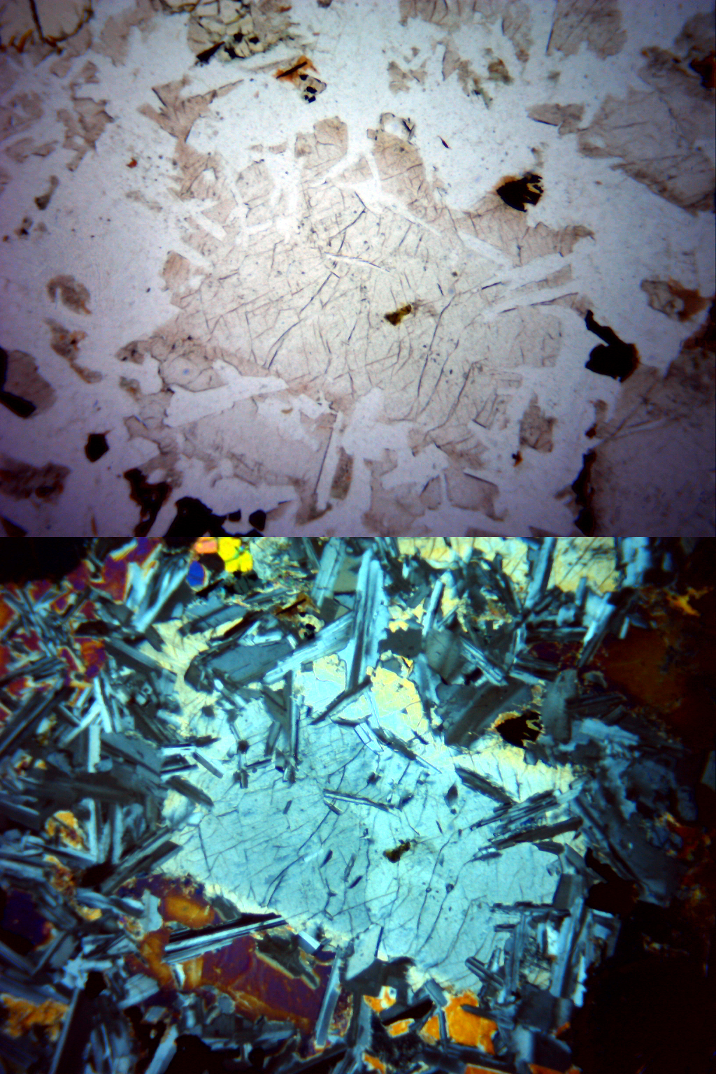 Piroxeno (40 aumentos)