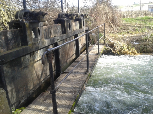Presa sobre el Caño de los Molinos