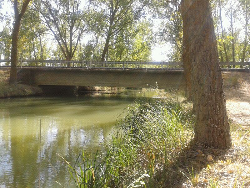 Puente sobre el Canal de Castilla