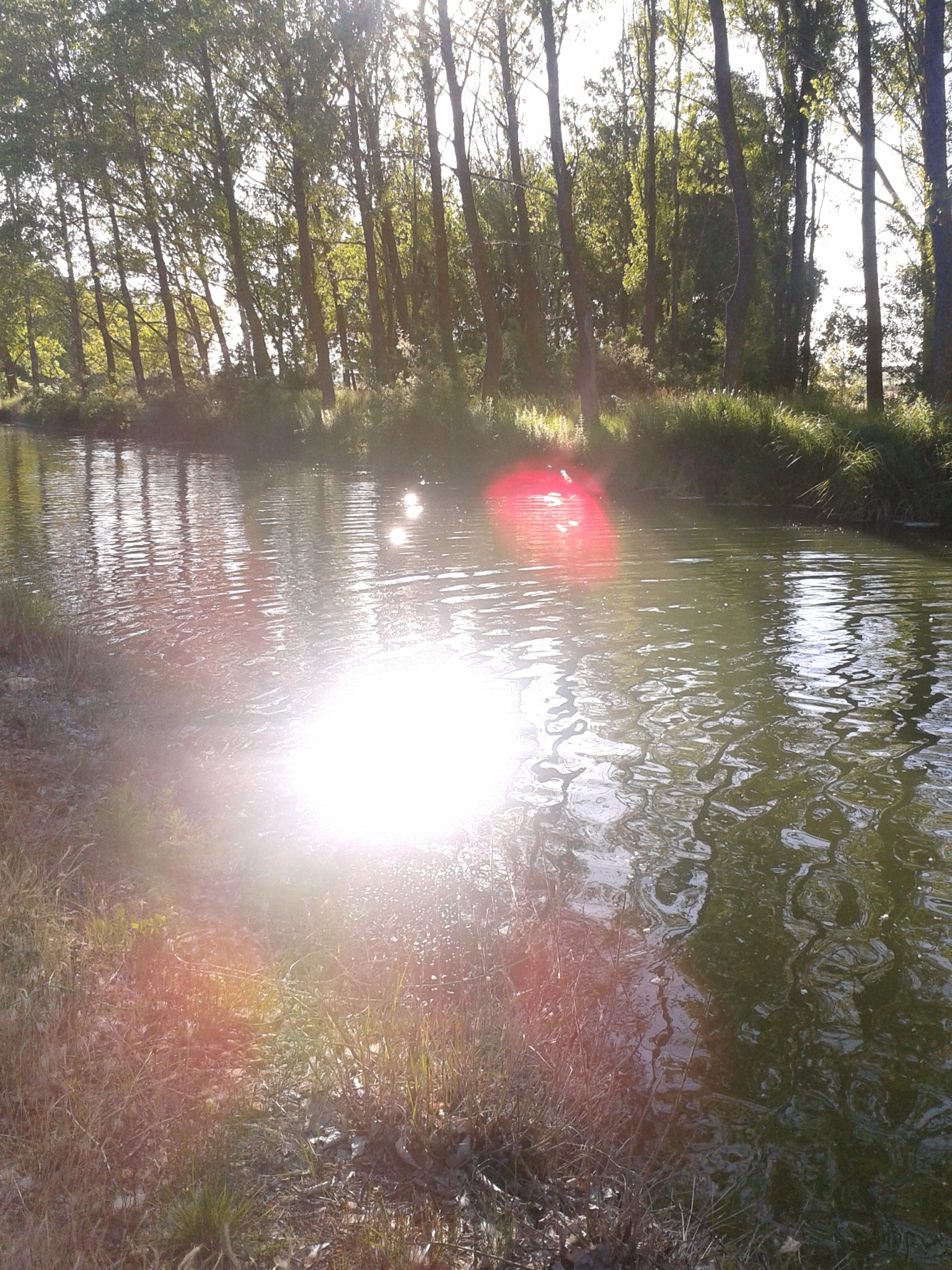 Reflejos del sol en el agua