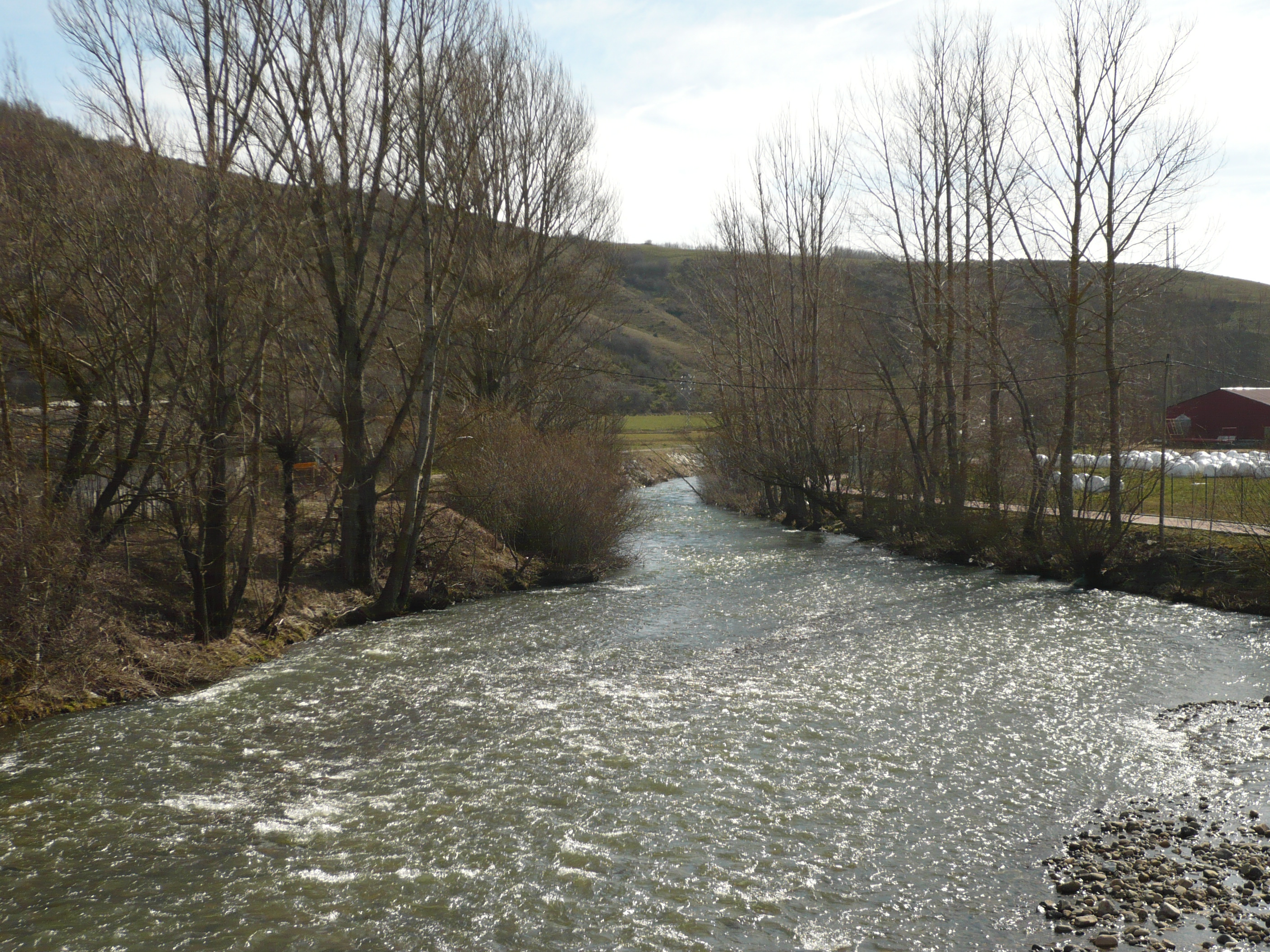 El río Pisuerga en Cervera