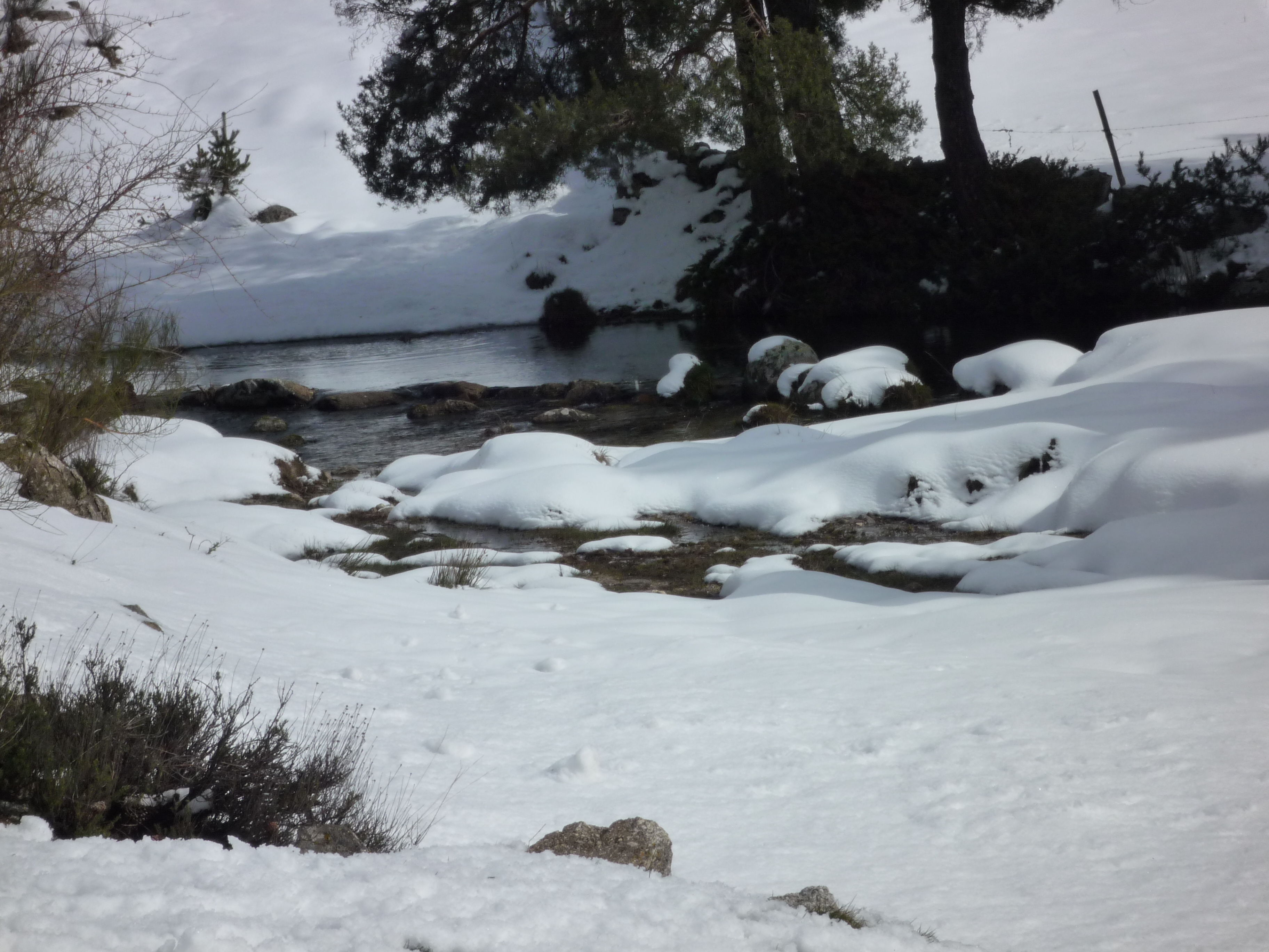 Río Tormes a su paso por la localidad de Hoyos del Espino
