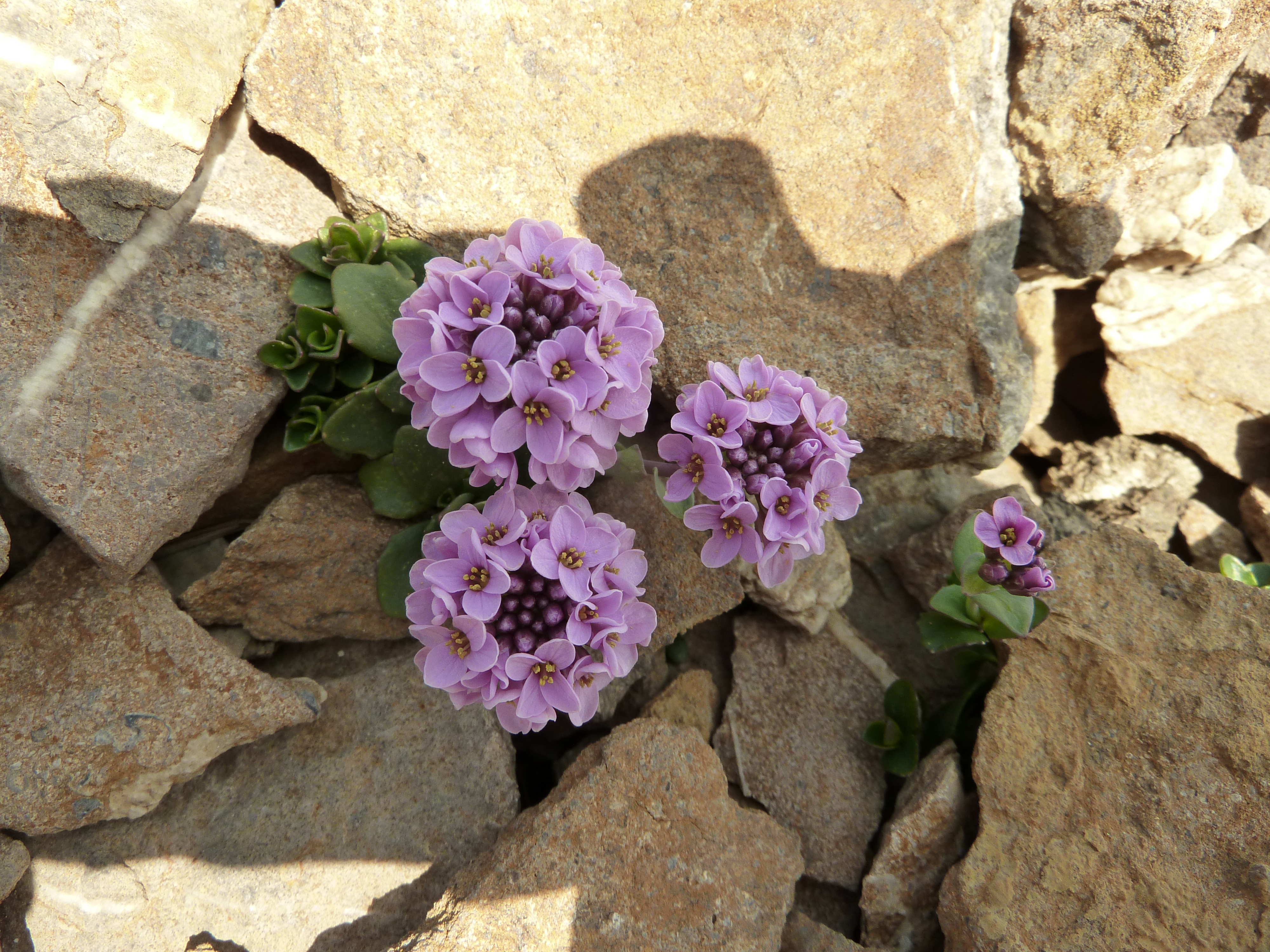 Entre rocas