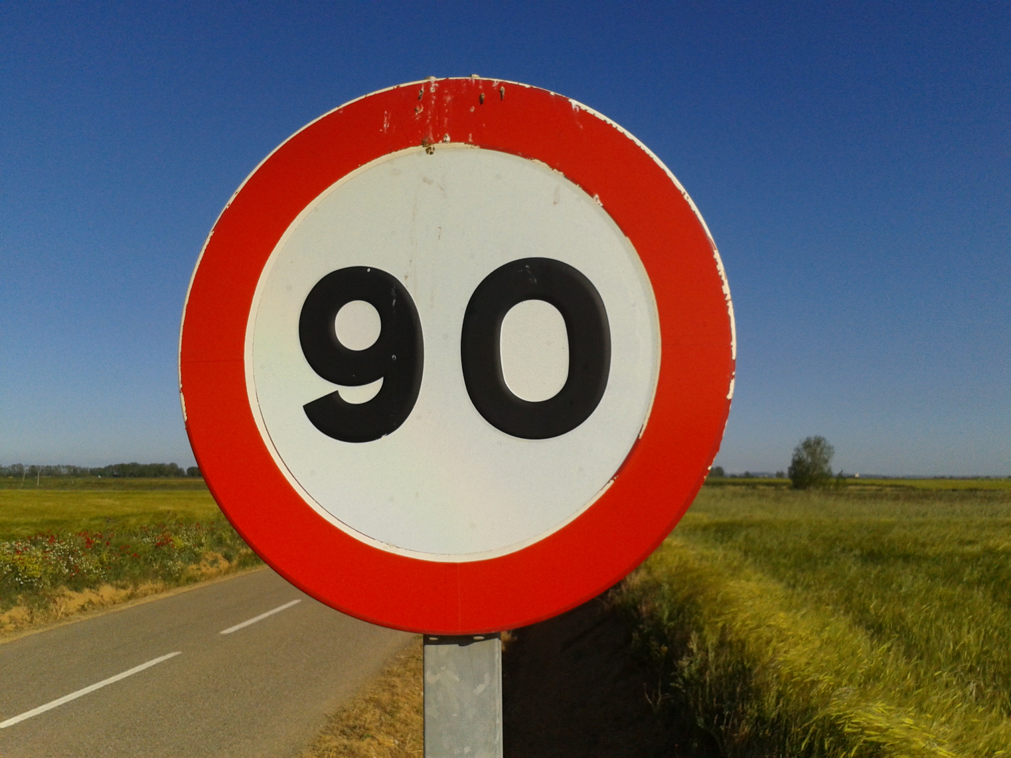 Señal de tráfico. Límite de velocidad