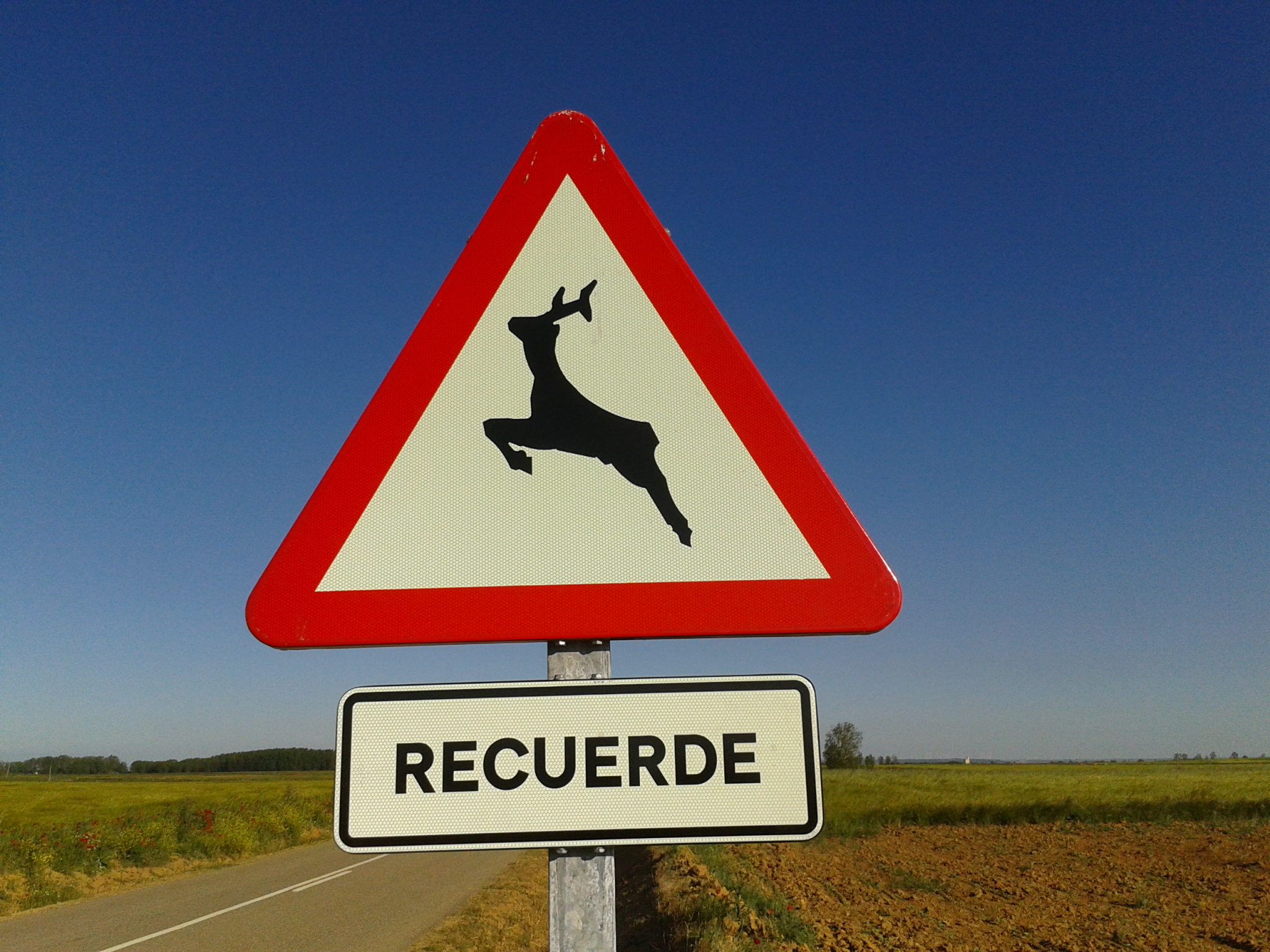 Señal de tráfico. Paso de animales salvajes