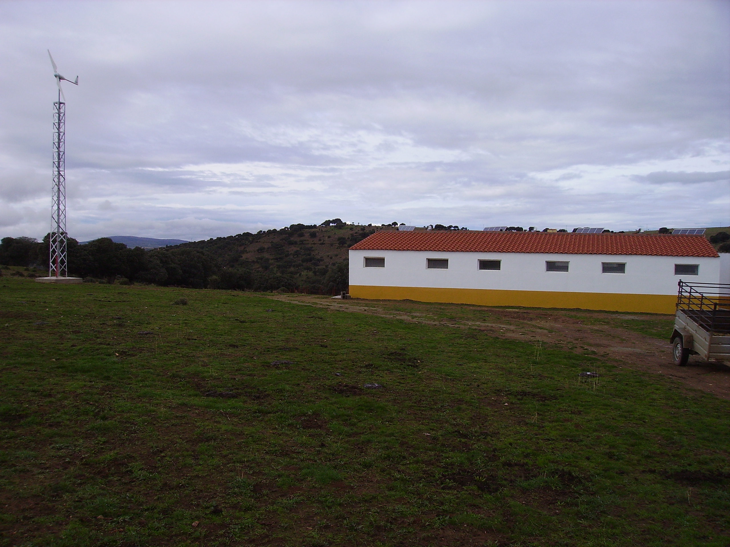 Torre