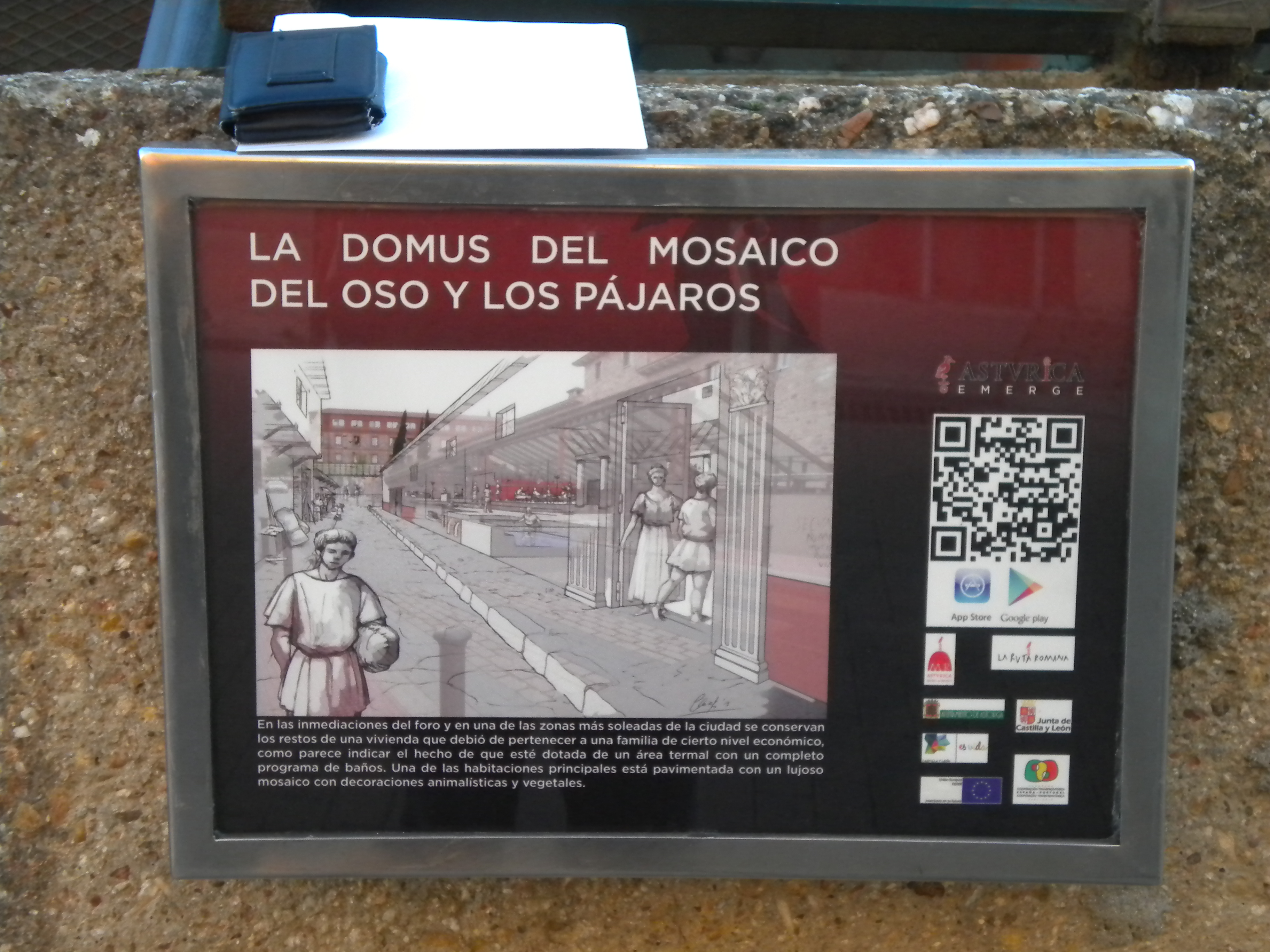 Domus del mosaico del oso y los pájaros (panel informativo)