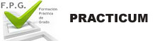 Practicum
