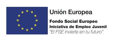 EEEJ_FSE