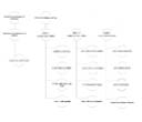 OrganigramaAIE 2