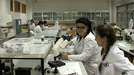laboratoria. Este enlace se abrirá en una ventana nueva