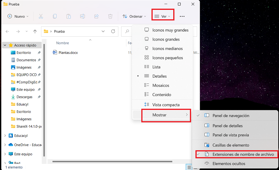 Mostrar extensiones de archivo