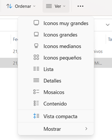 Vista iconos