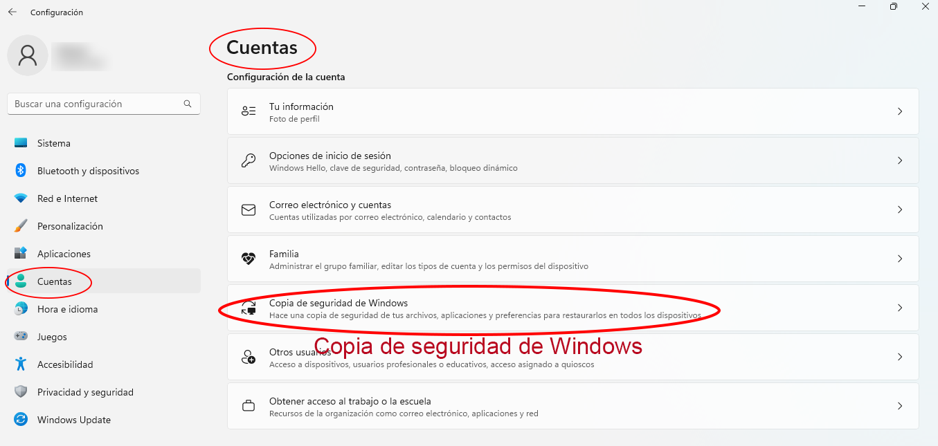 Copia de seguridad de Windows