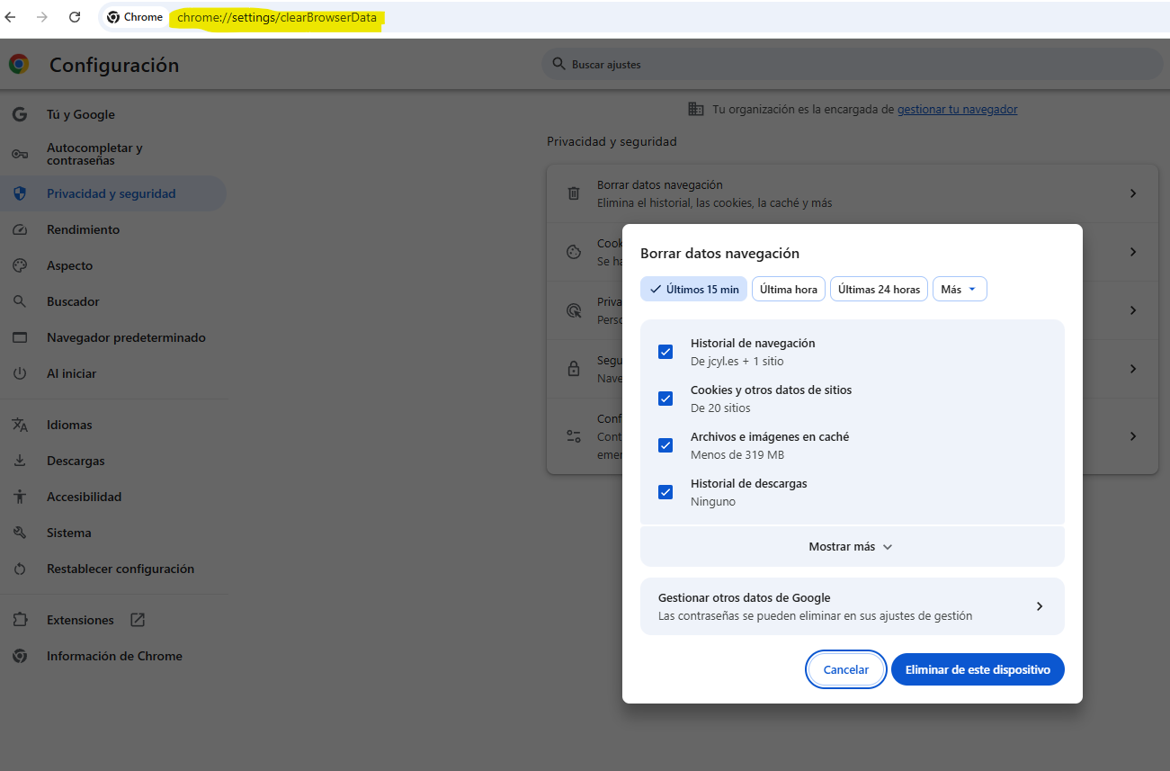 Cómo borrar datos de navegación