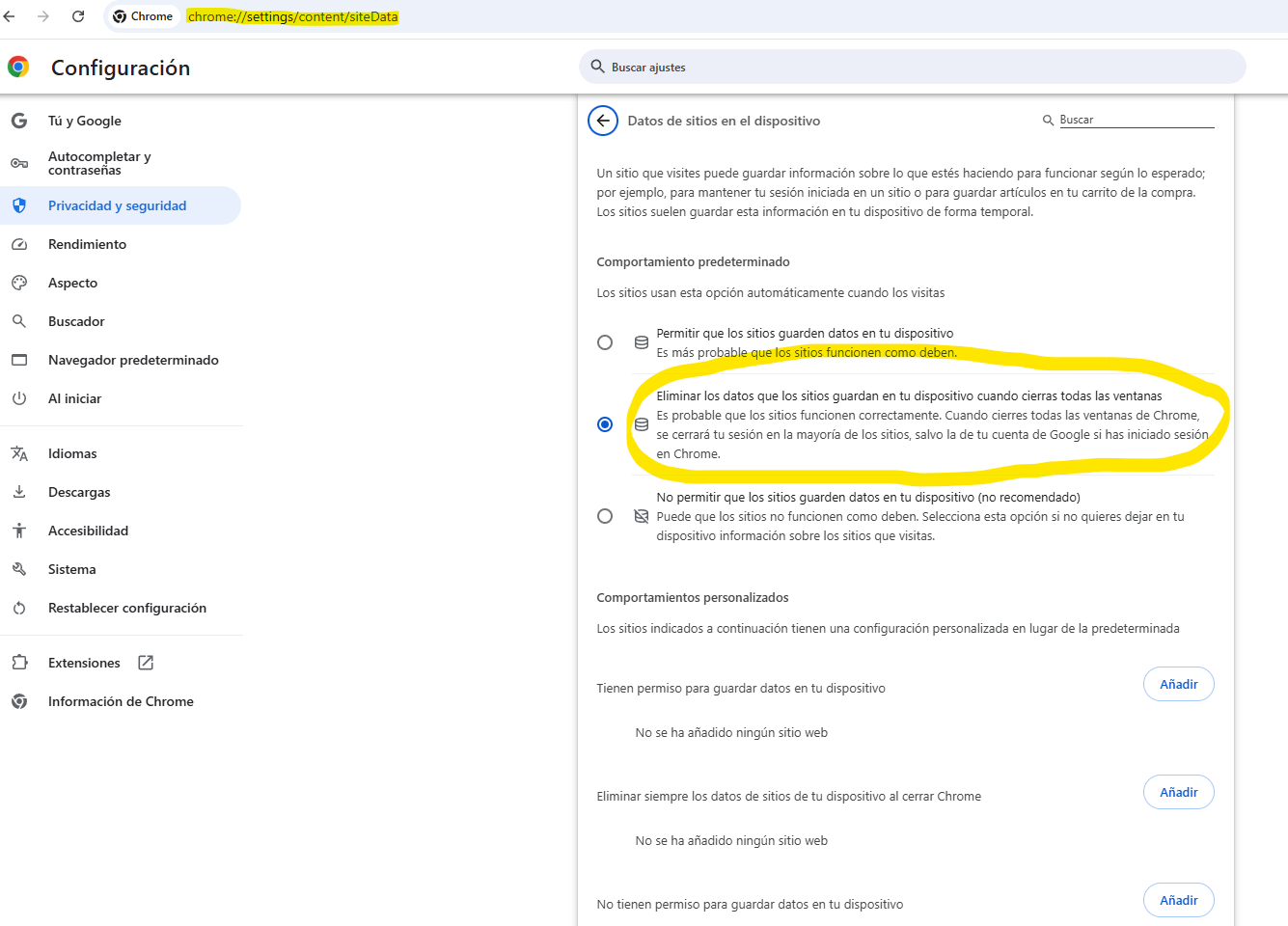 Configurar datos del sitio en el navegador Chrome