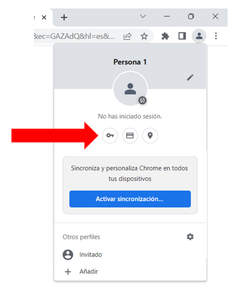 Ruta de acceso al gestor de contraseñas Chrome