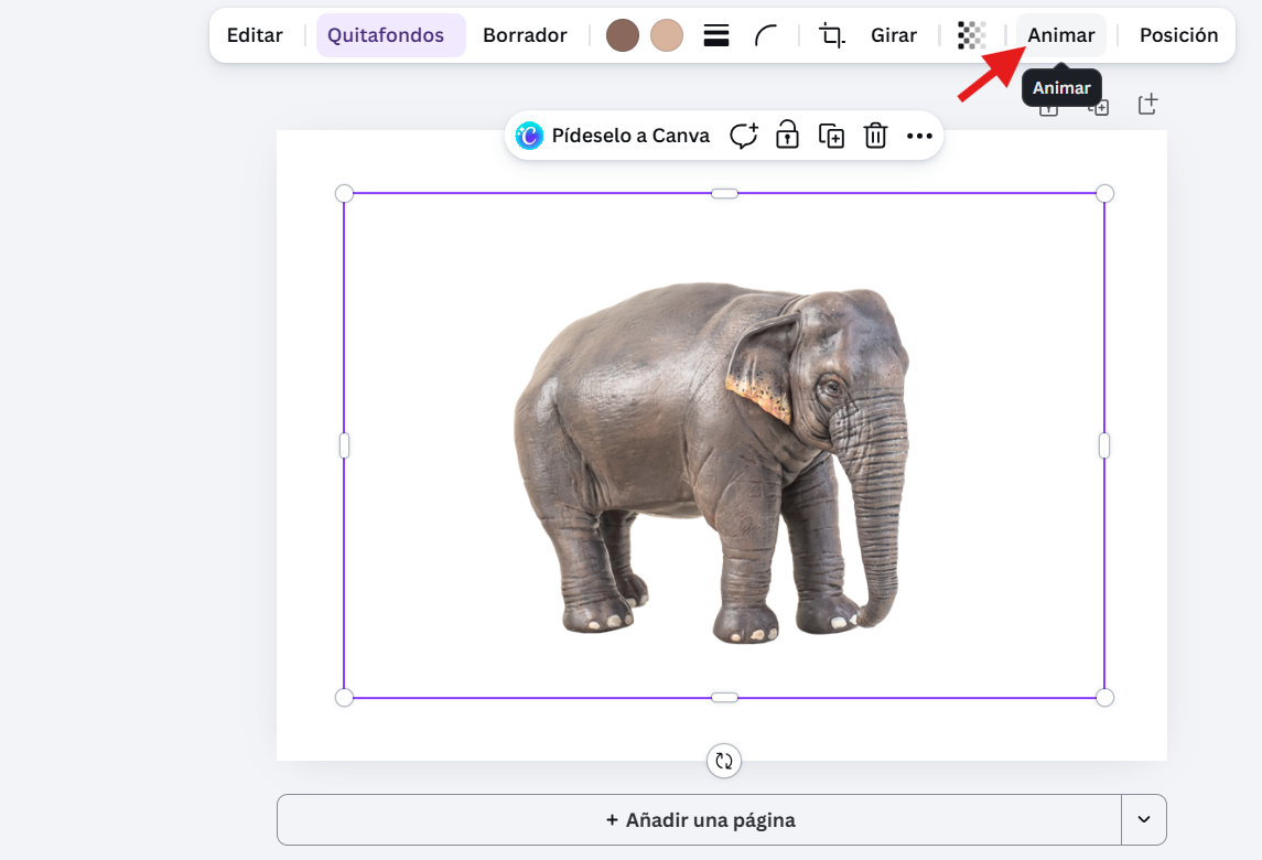 animaciones 1 canva animaciones 1 canva