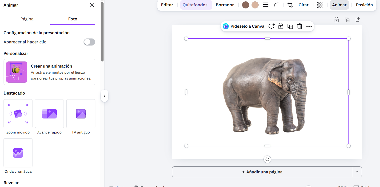 animaciones 2 canva animaciones 2 canva