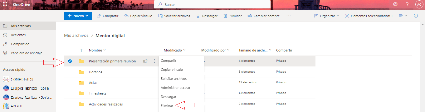 eliminar icono