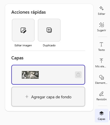 Pantallazo de herramienta Editar imagen. Herramientas Capas