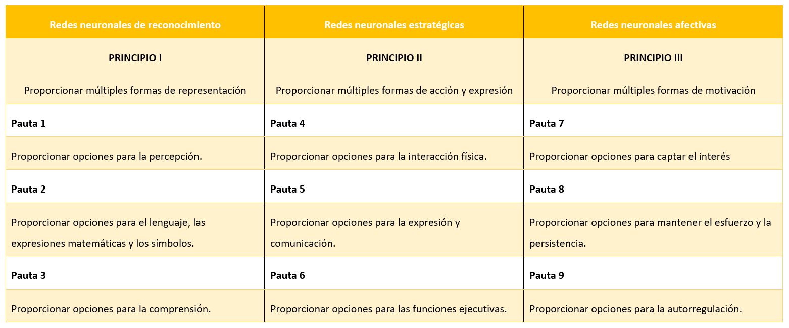 Tabla explicativa con redes neuronales, principios y pautas DUA