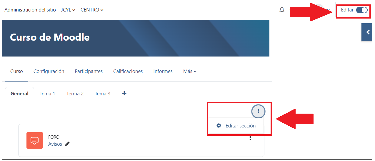 Edición formato de pestaña
