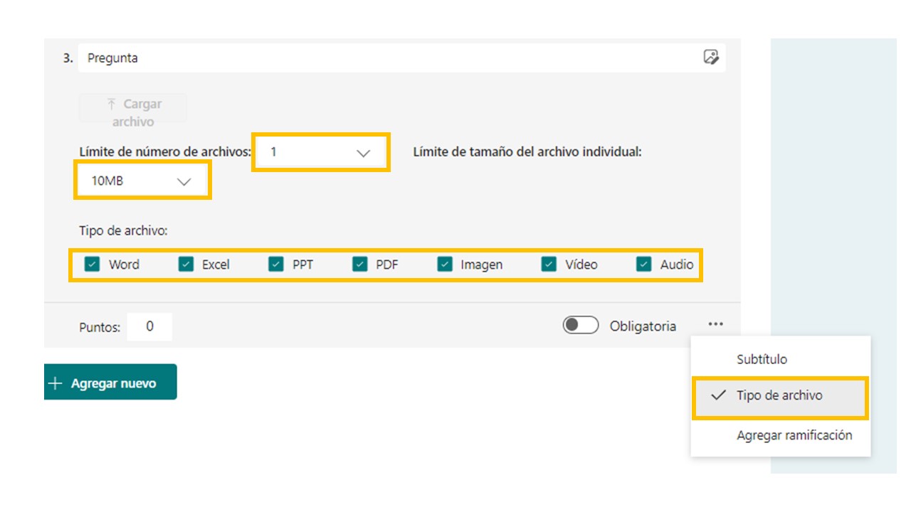 Cargar archivo Captura pantalla Forms