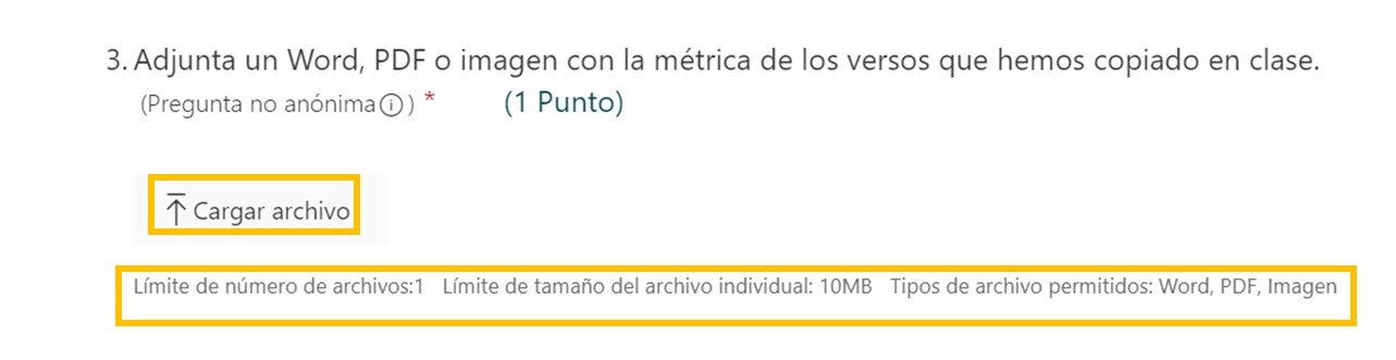 Cargar archivo Captura pantalla Forms