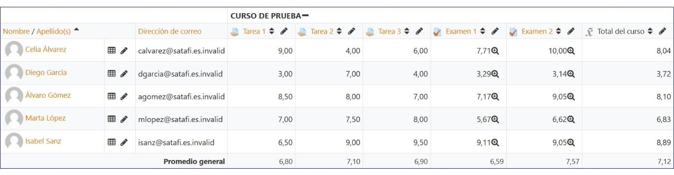 Informe del calificador 2