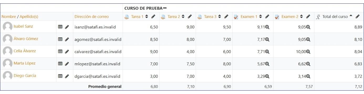 Informe del calificador 2