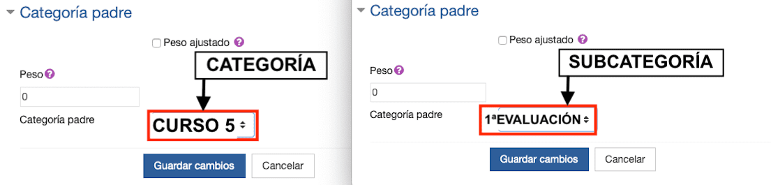 Libro de calificaciones_4_Subcategoría