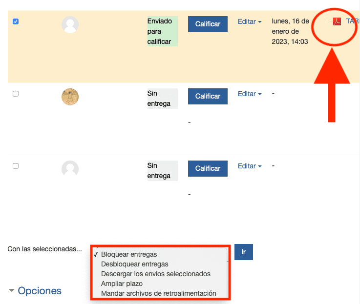 Tareas_16_Retroalimentación