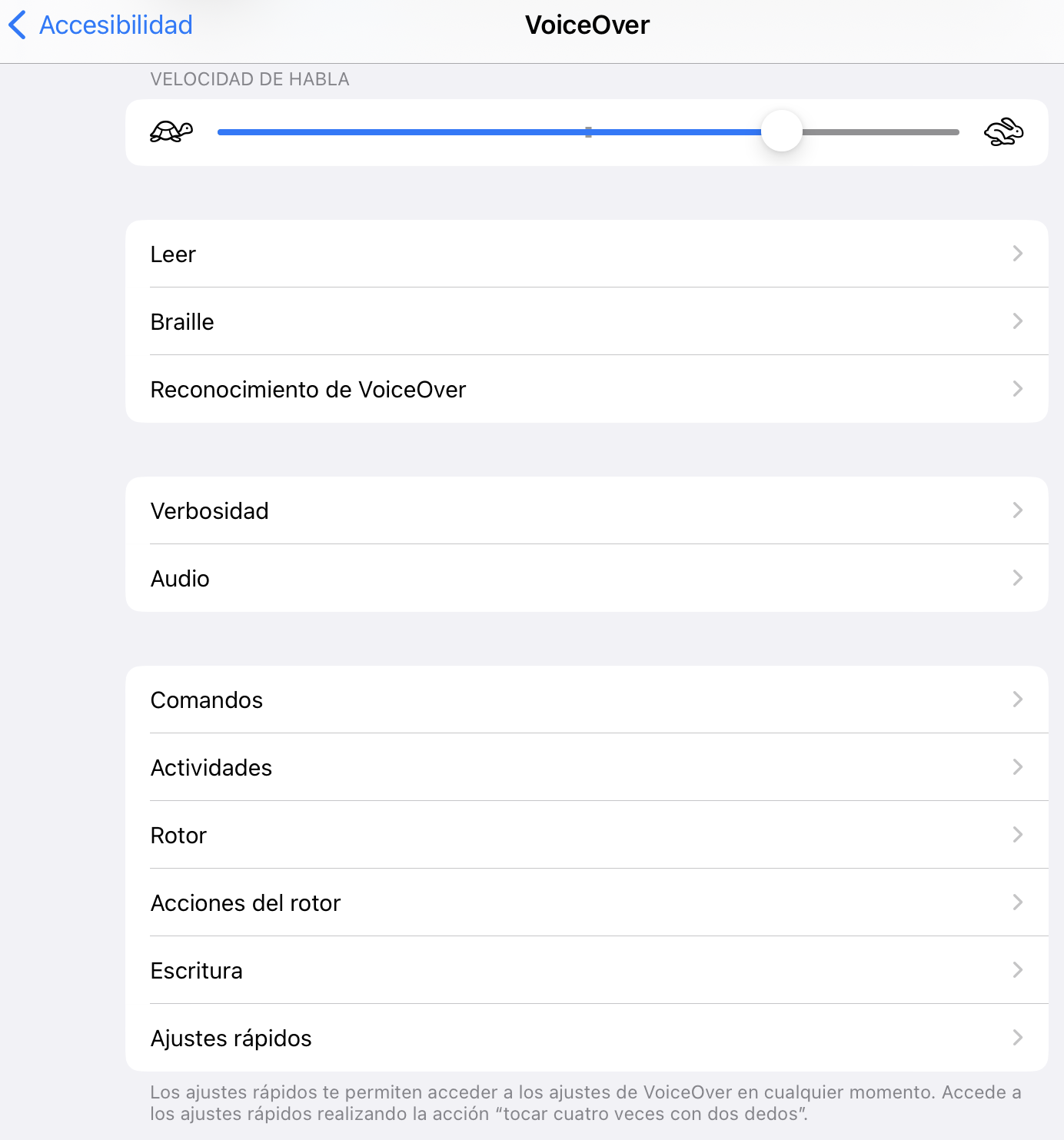 3.5. Herramientas específicas de accesibilidad. VoiceOver en iPadOS