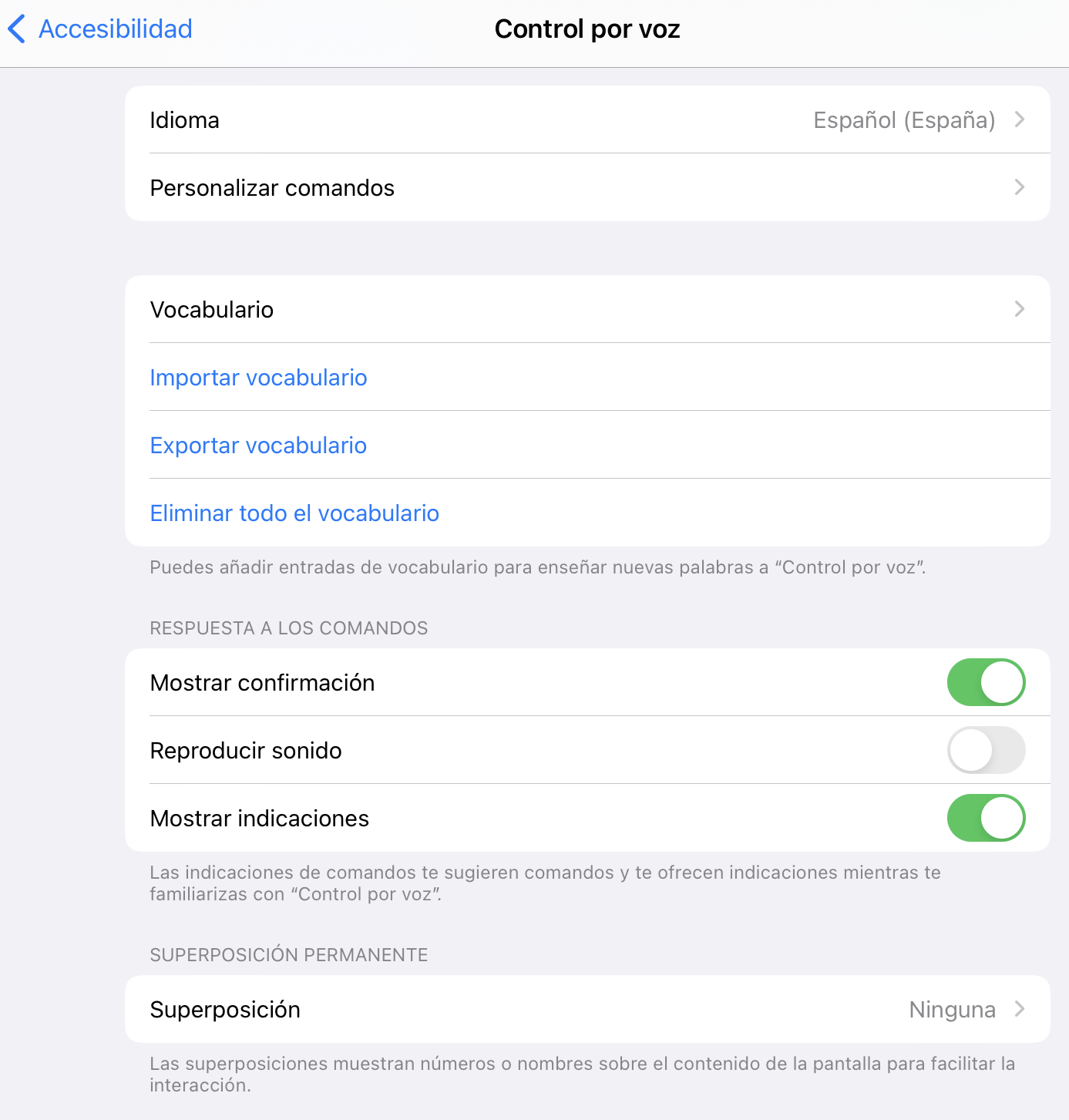 3.5. Herramientas específicas de accesibilidad. Control por voz en iPadOS