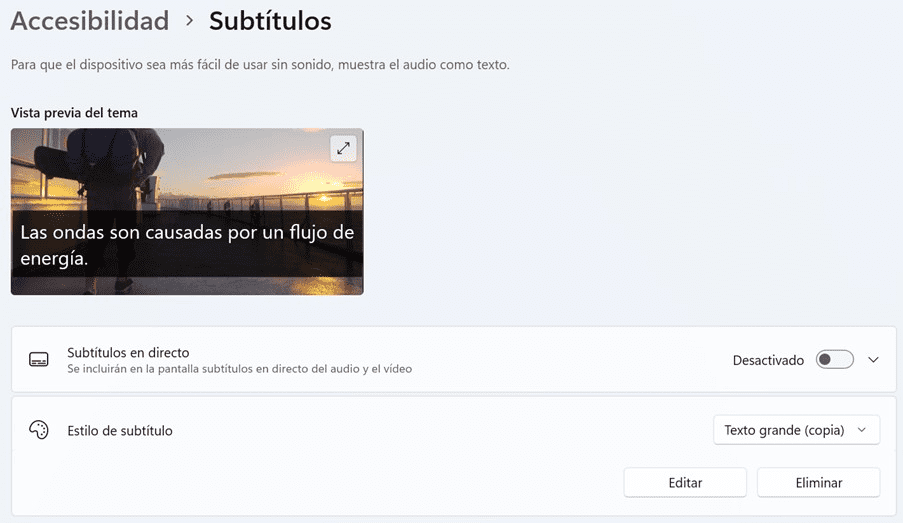 Accesibilidad. Subtítulos