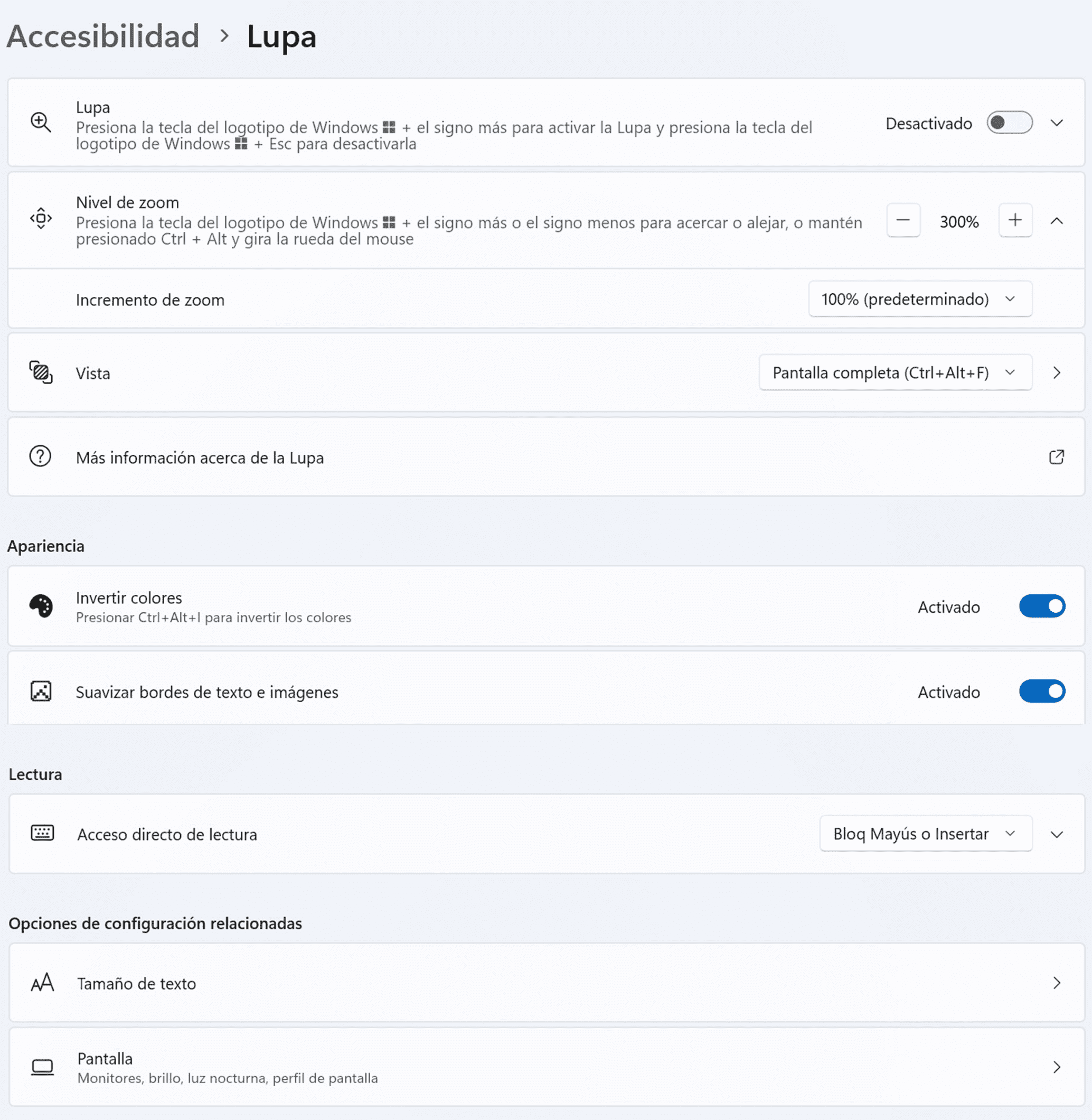Accesibilidad. Lupa