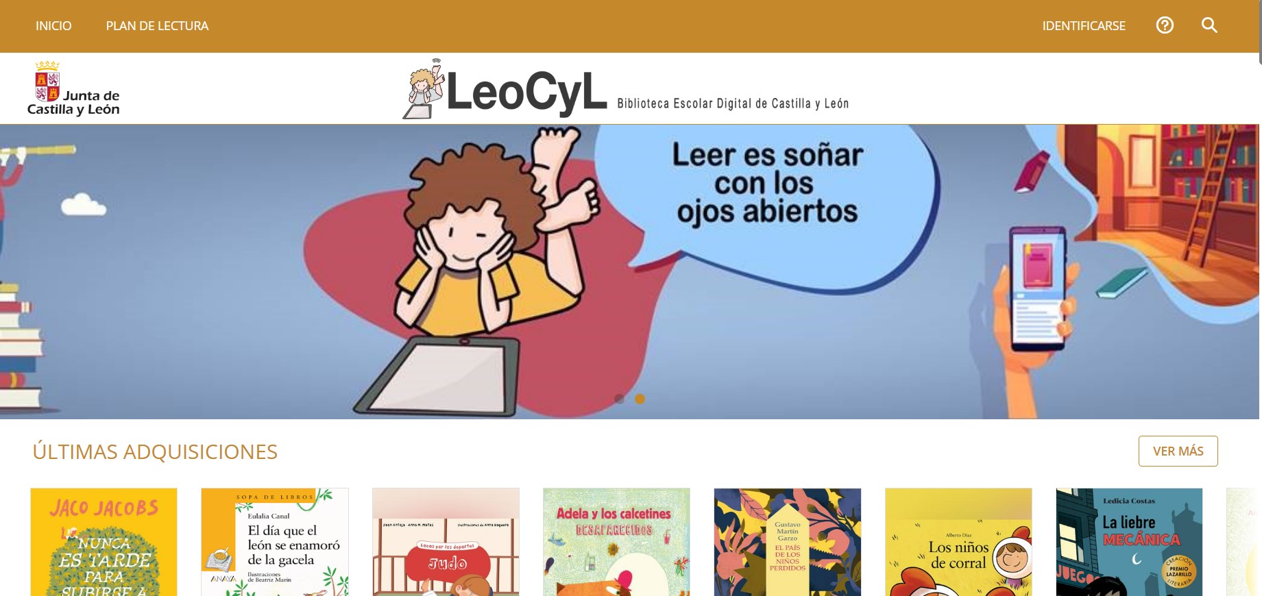Captura de pantalla de la Web LeoCyL
