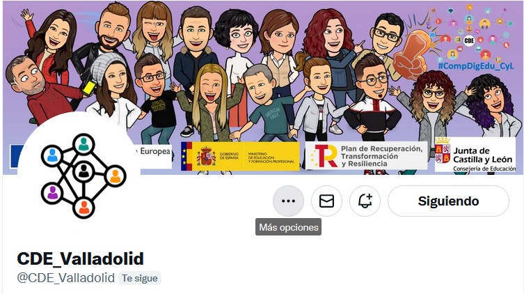 Captura de pantalla del perfil de un usuario de Twitter